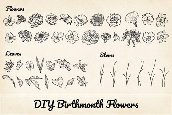 200 Birthflower Element Bundle PNG SVG